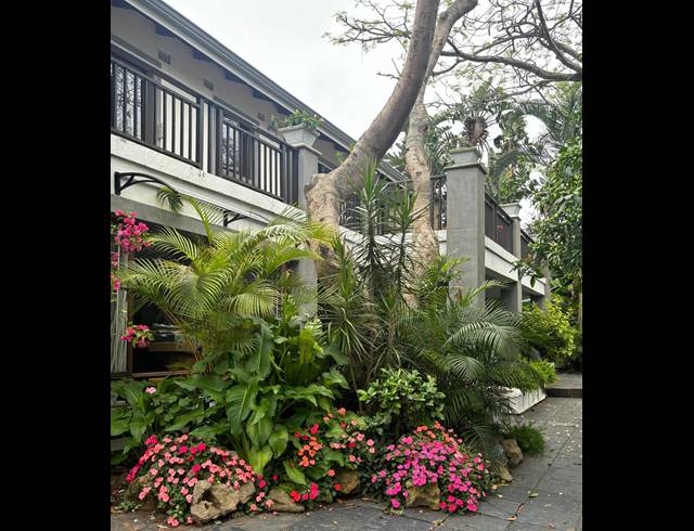 4 BEDROOM FREESTANDING FOR SALE IN BALLITO CENTRAL